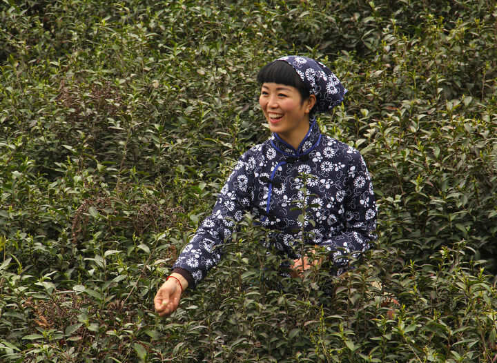 紫色烟雾